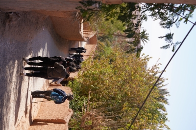 kikogo Travel