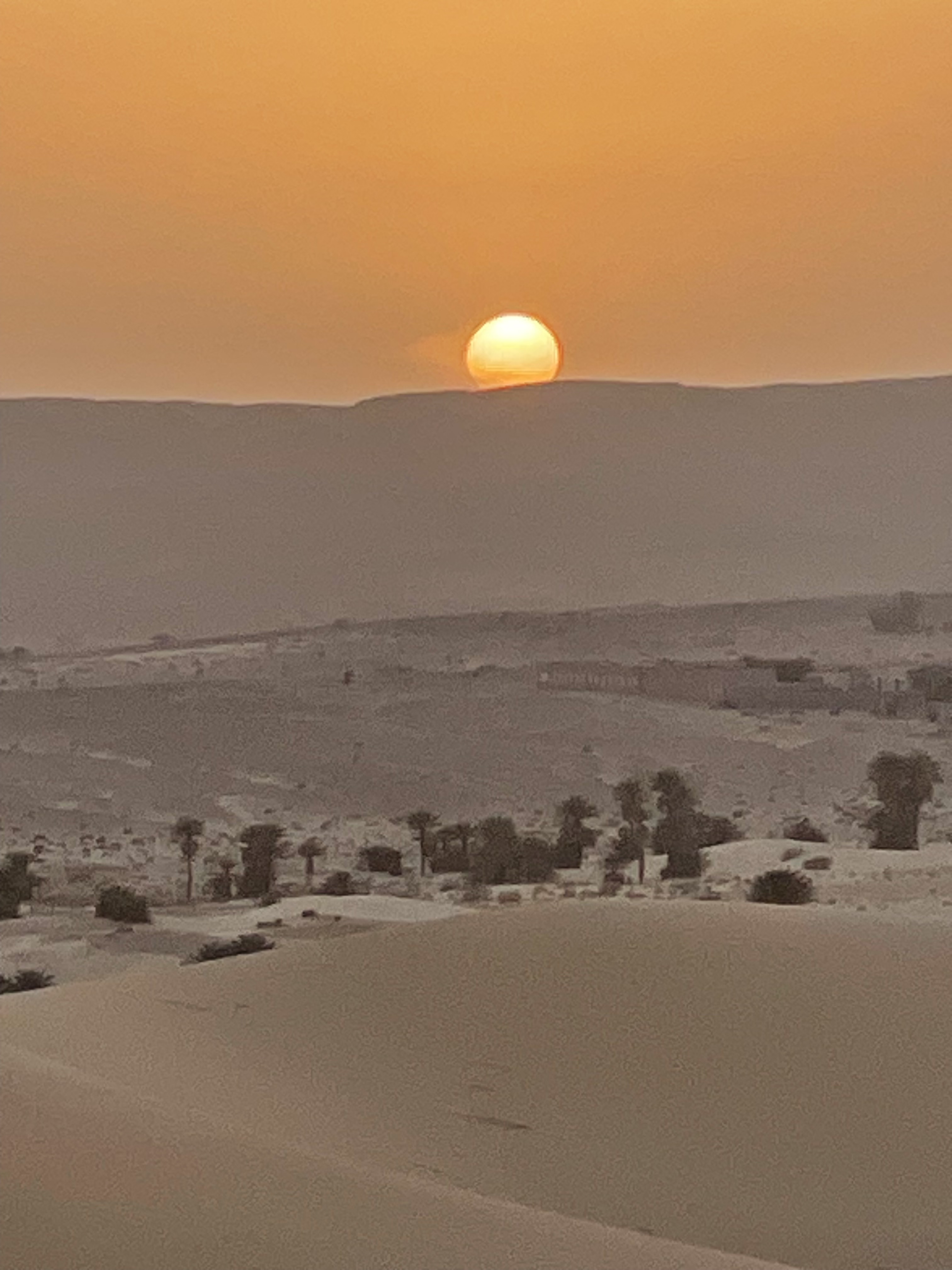 From the M’zab Valley to the Oases of the Sahara, Timimoun, Béni abbés, Taghit